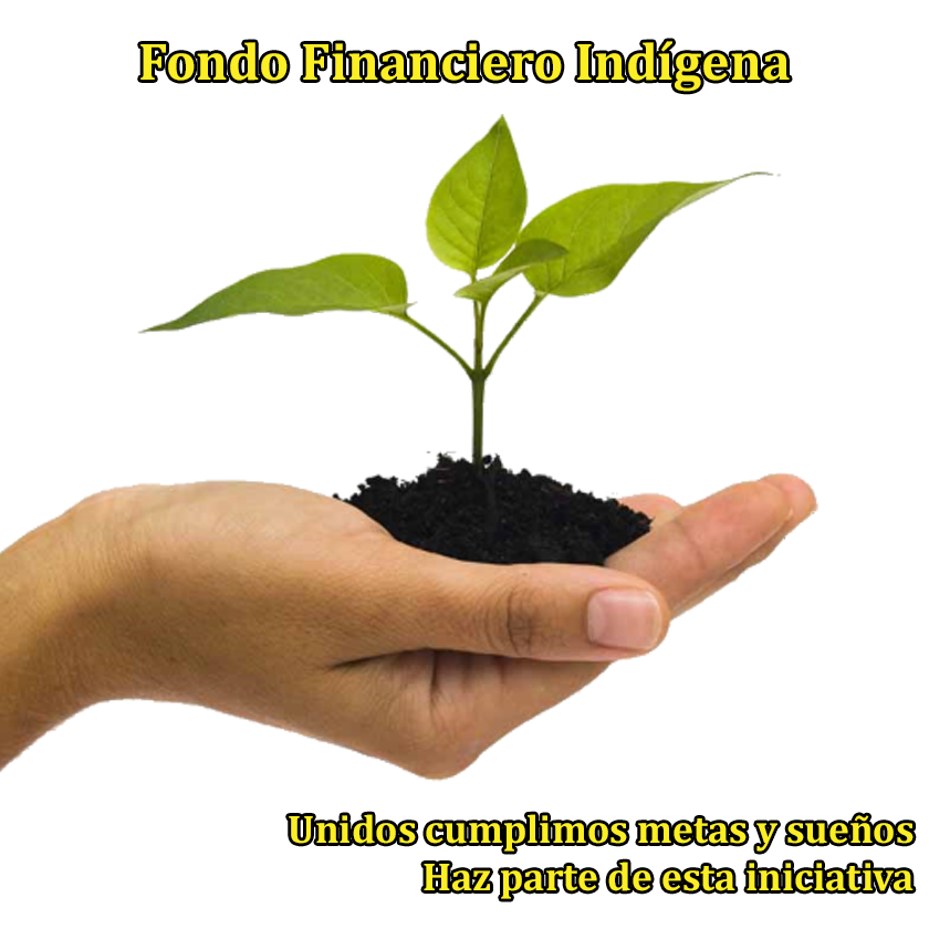 FondoIndigena's tweet photo. invierta en nosotros.. https://t.co/ADKoOWy1vh