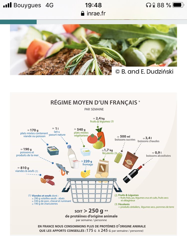 Pour vous faire votre propre avis sur la position d’#INRAE sur la consommation de #viande, nous vous proposons de lire aussi ce dossier complet, synthèse de nos recherches récentes : url.inrae.fr/2uWNZVH