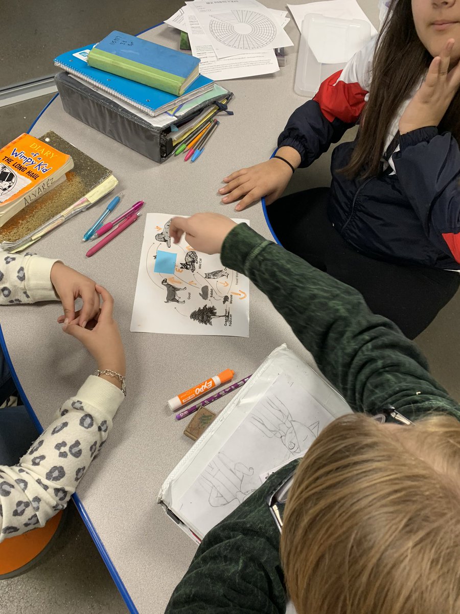 PioneerScience5's tweet photo. Looking at energy flow in an ecosystem by using Food Webs. These students LOVE life Science! @EKD_Elementary @ECISDScience https://t.co/CRVXD54kly