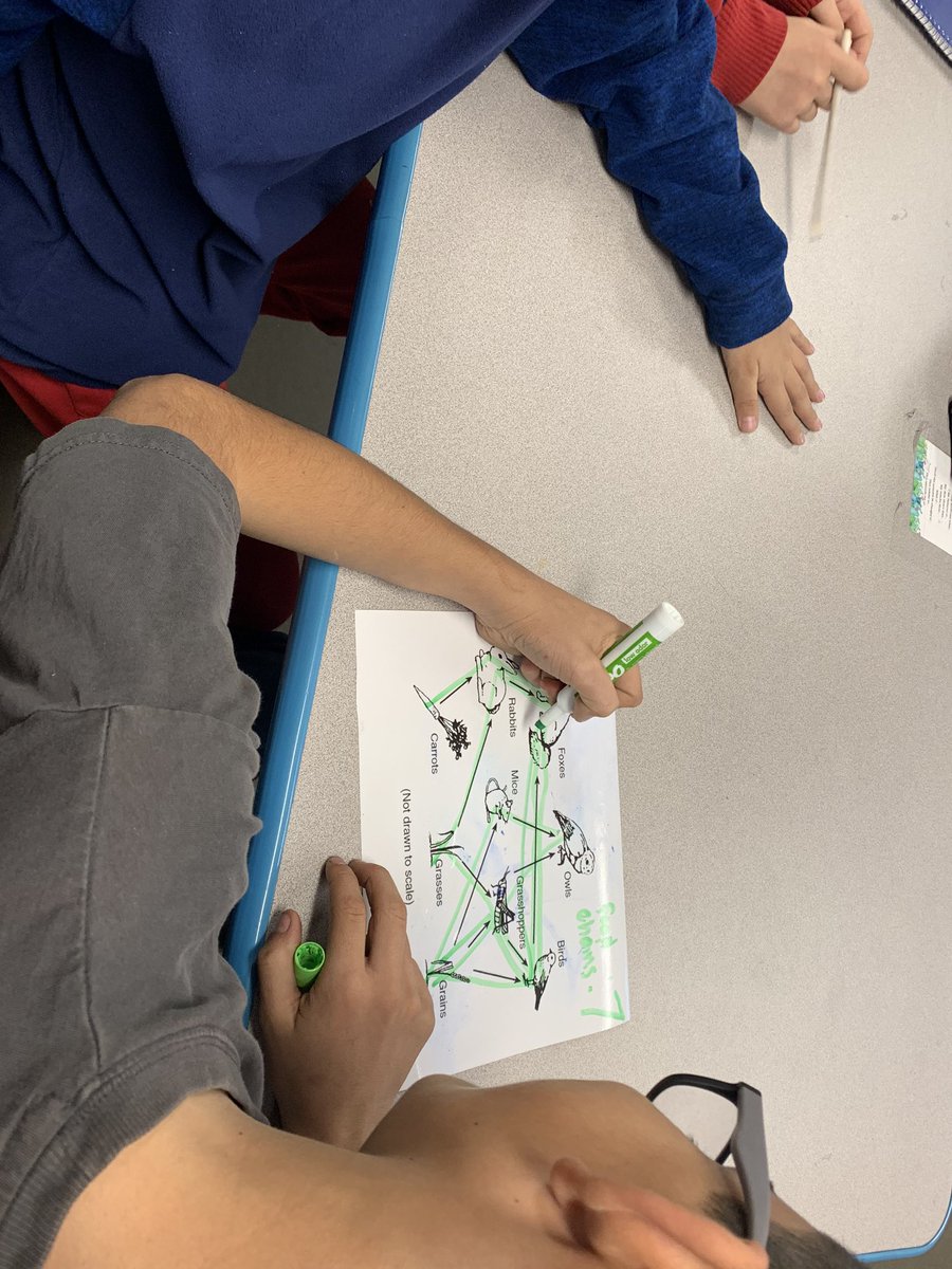 PioneerScience5's tweet photo. Looking at energy flow in an ecosystem by using Food Webs. These students LOVE life Science! @EKD_Elementary @ECISDScience https://t.co/CRVXD54kly