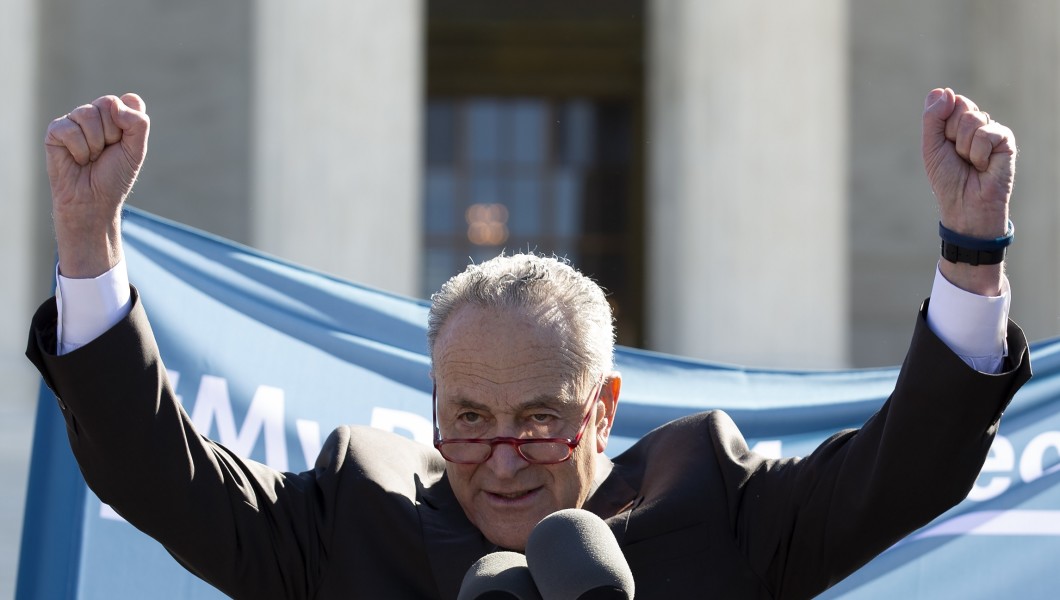 Snipermania's tweet photo. A LUNATIC goes batty at the Supreme Court...………..  #Schumer #SchumerResign   #SchumerThug   #SchumerMustGo https://t.co/EMLU1QK41k