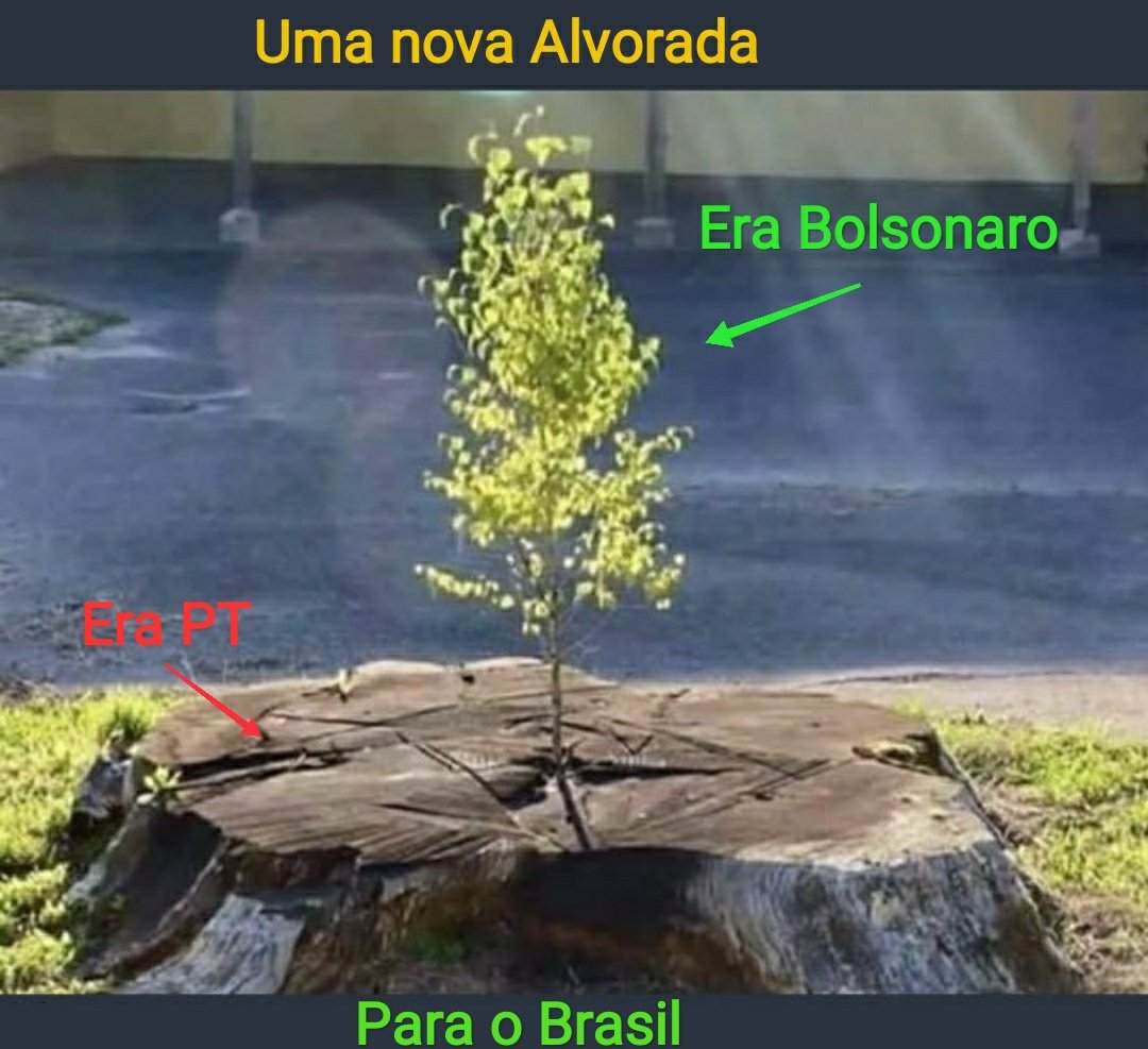 DS 𝕏 🇧🇷 ♂️✝️💚💛🅱️2️⃣2️⃣ tweet media