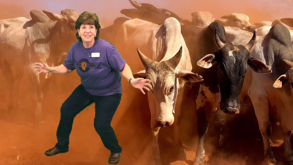 It's a stampede.  You better run to #Teach4Gr8ness20 and check out #DIYGreenScreenMagic!! - Sheri Doucet, Instructional Specialist @esslilpriates <a href="/DoucetSheri/">Sheri Doucet</a> @GISDTech3 <a href="/emmaelem/">Emma Roberson Elementary School</a>