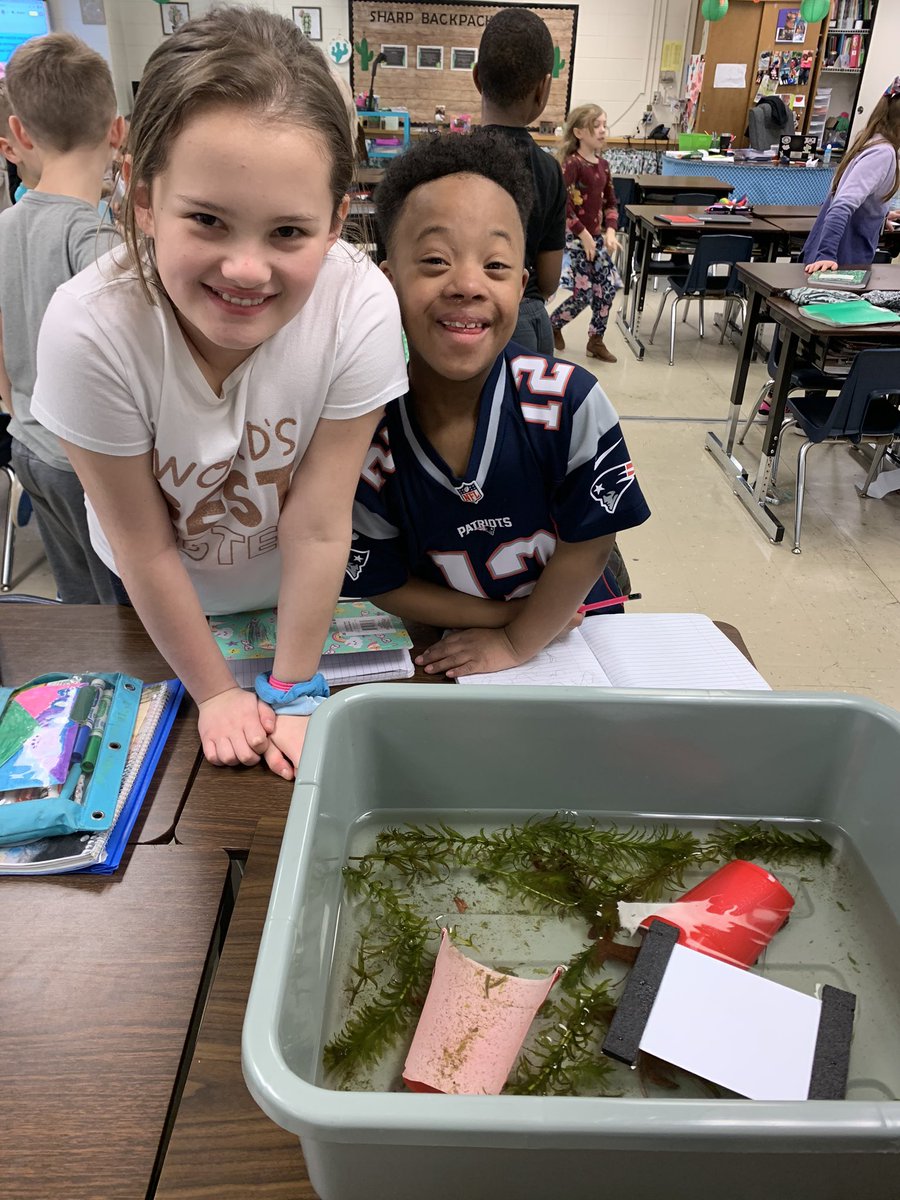 BarkerFinckCrew's tweet photo. Students creating a rubric for their informational Google Sites they’re producing! #JCPSDigIn #CrayfishStructuresAndBehaviors #LeadersOfTheirOwnLearning #DigitalProducers #JCPSBackpack @deeperlearning https://t.co/VVyJGsXMVr