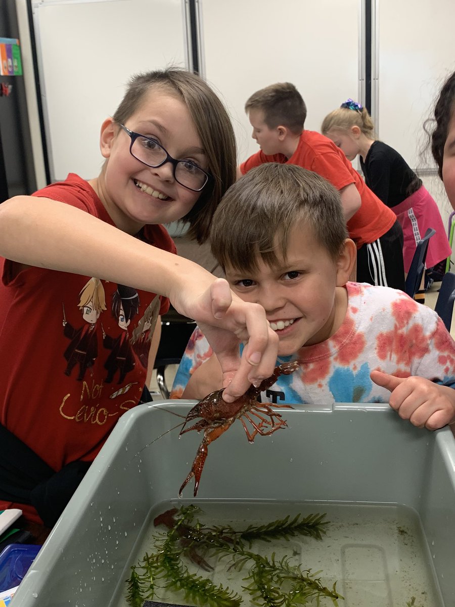 BarkerFinckCrew's tweet photo. Students creating a rubric for their informational Google Sites they’re producing! #JCPSDigIn #CrayfishStructuresAndBehaviors #LeadersOfTheirOwnLearning #DigitalProducers #JCPSBackpack @deeperlearning https://t.co/VVyJGsXMVr