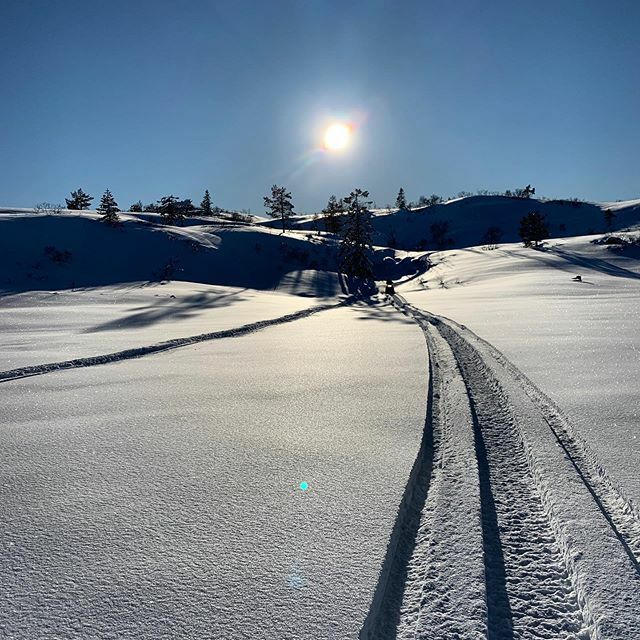 ter_oks's tweet photo. Nydelig langdag på heia. #puddersnø #nysnø #vinter #spor #mars #utno #utpåtur #ut https://t.co/aIQjYZhu3X https://t.co/NtoiDFmADf