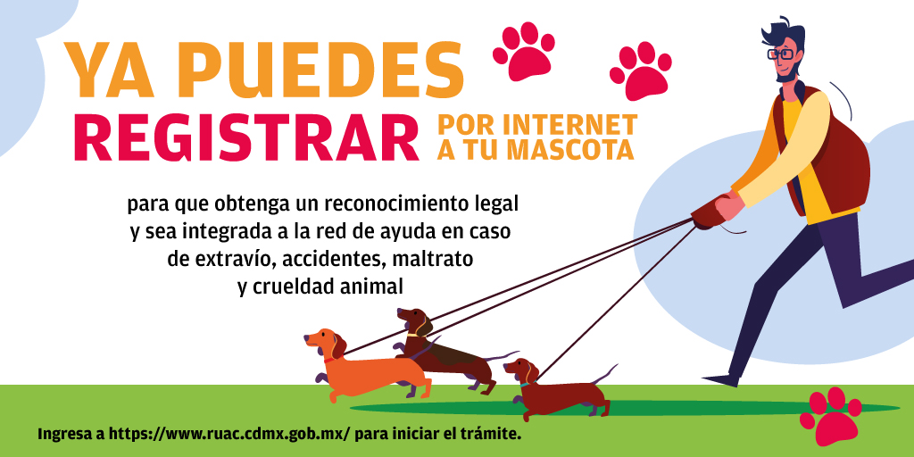 Como todo dueño responsable 😍🐾 ¡Registra a tu mascota en #CDMX!