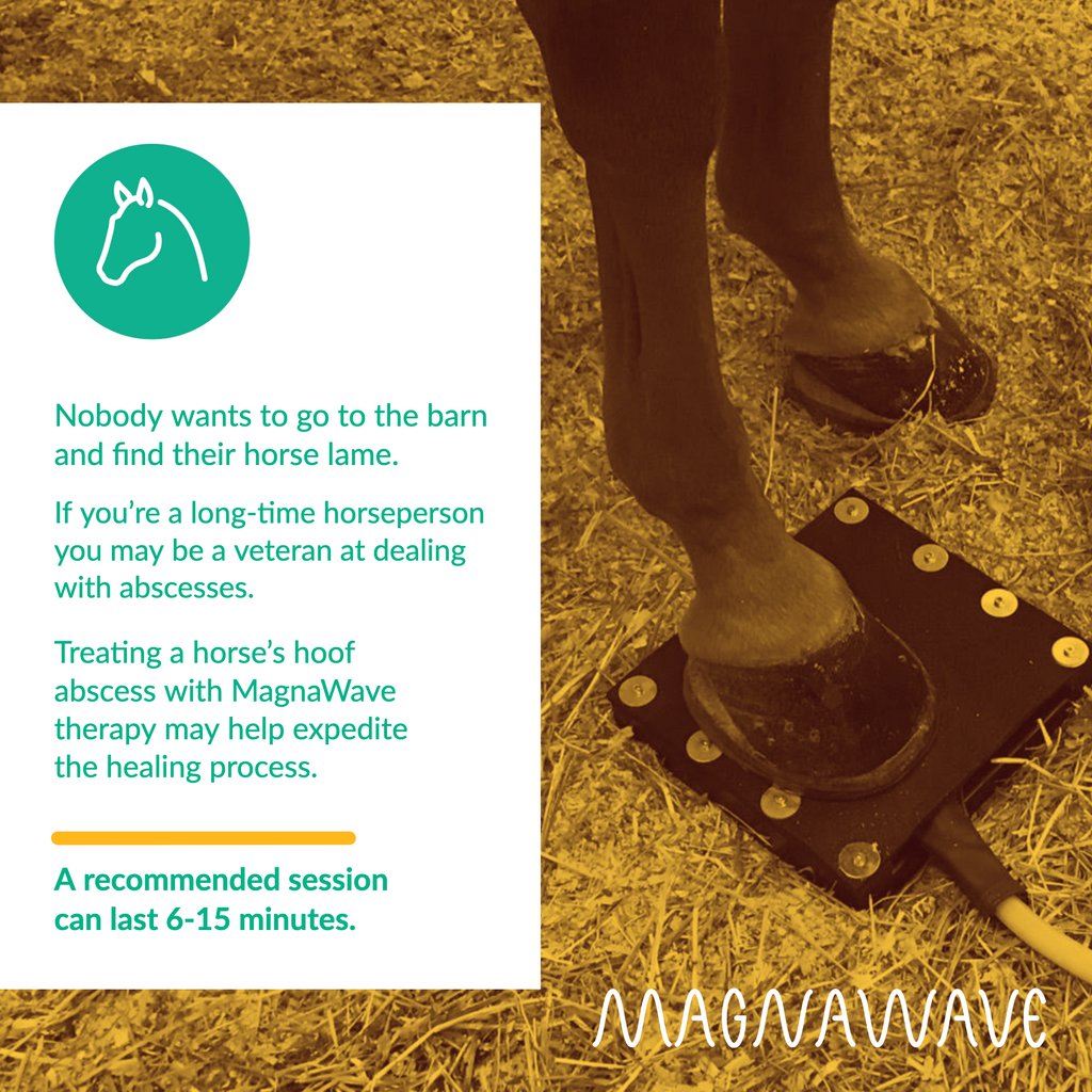 magnawavePEMF's tweet photo. 🐴 Nobody wants to go to the barn and find their #horse lame from a #hoofabscess. Learn how PEMF can help expedite the healing process here>> https://t.co/bvZgpSUj3S 

🏥 Managing a horse hoof abscess with PEMF is non-invasive, requires no downtime, &amp; has no side effects. 🙌🏼 https://t.co/gXNOoBCneF