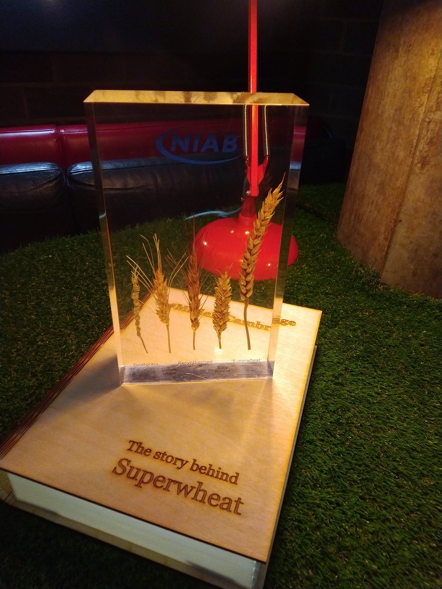 #MadeInCambridge Attending talk by Professor Alison Bentley "The story behind Superwheat. #NIAB