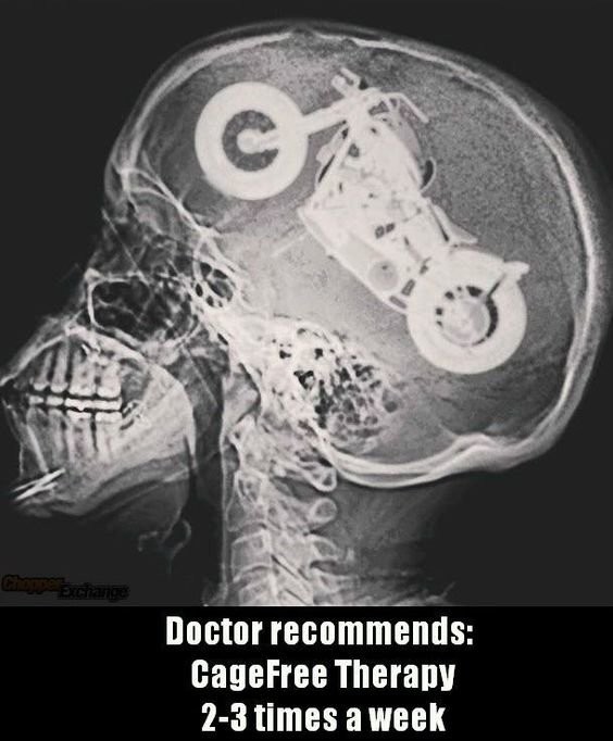 DKCustom1's tweet photo. Dr's Orders!
#dr #reccommend #cage #free #therapy #bikelife #harleylife #harleydavidson #motorcycles #justride #riding #road #time #ride #motorcycle #lifebehindbars #ftw #rideordie #idratherberiding #dkcustom #stockbikessuck #livefree #ridefree #nofear #noregrets https://t.co/C3V0X5Gvr5