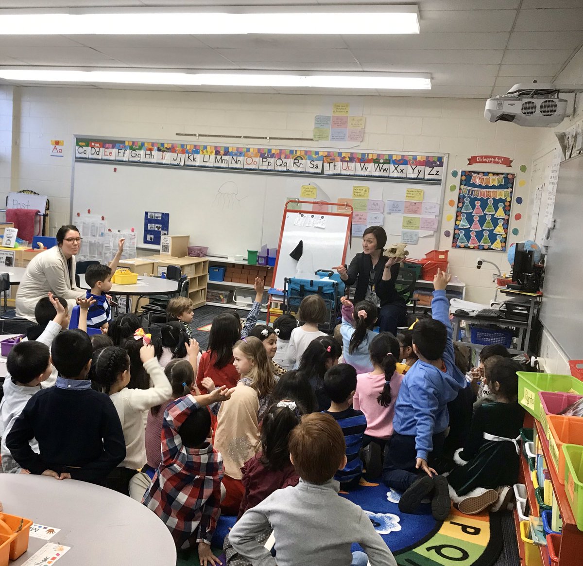 Not only do we have coolest students- we have the coolest parents, too! Dr. Krueger came to visit today, this time with ocean animal fossils and bones!