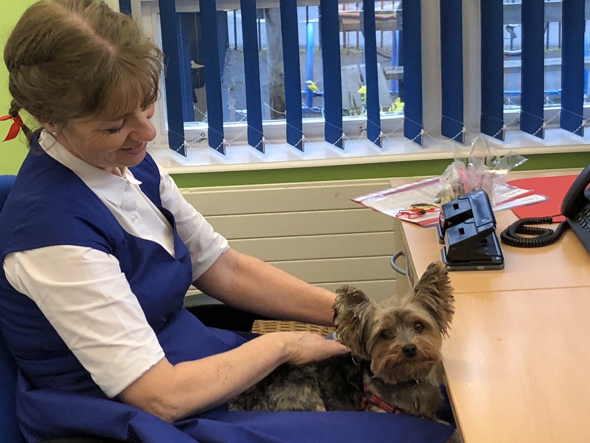 ‘Where’s all the cars?’ 🚗 🚙.... it can only be #carfreethursday 🚶🏽‍♀️ 🚴🏼‍♂️ 🛴 at <a href="/CFordInfSch/">CFordInfantSchool</a> A great adventure along the yellow Zig-Zag road with Super Sarah, Dorothy &amp; Toto 🐶 for #WorldBookDay exciting plans for this street in 2020! #wheresray <a href="/MyJourneyHants/">My Journey Hampshire</a> @SustransSE