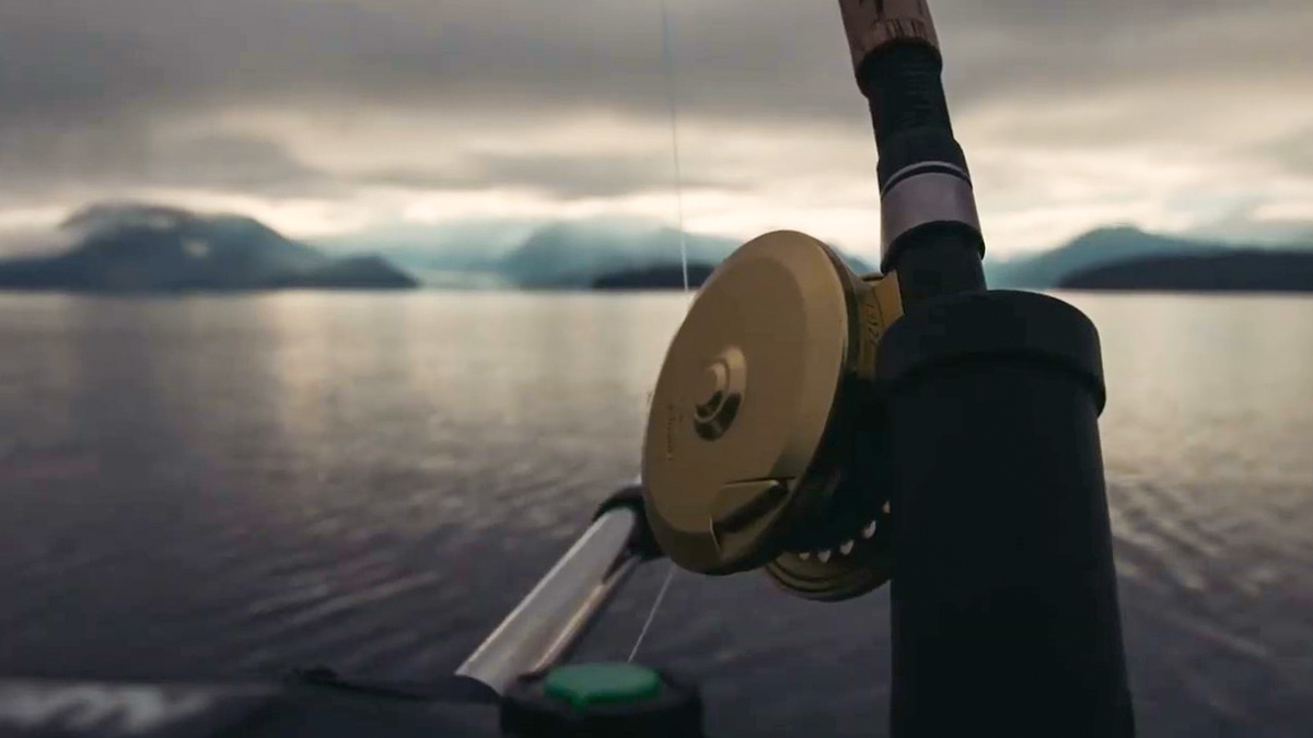 Shearwater tweet media