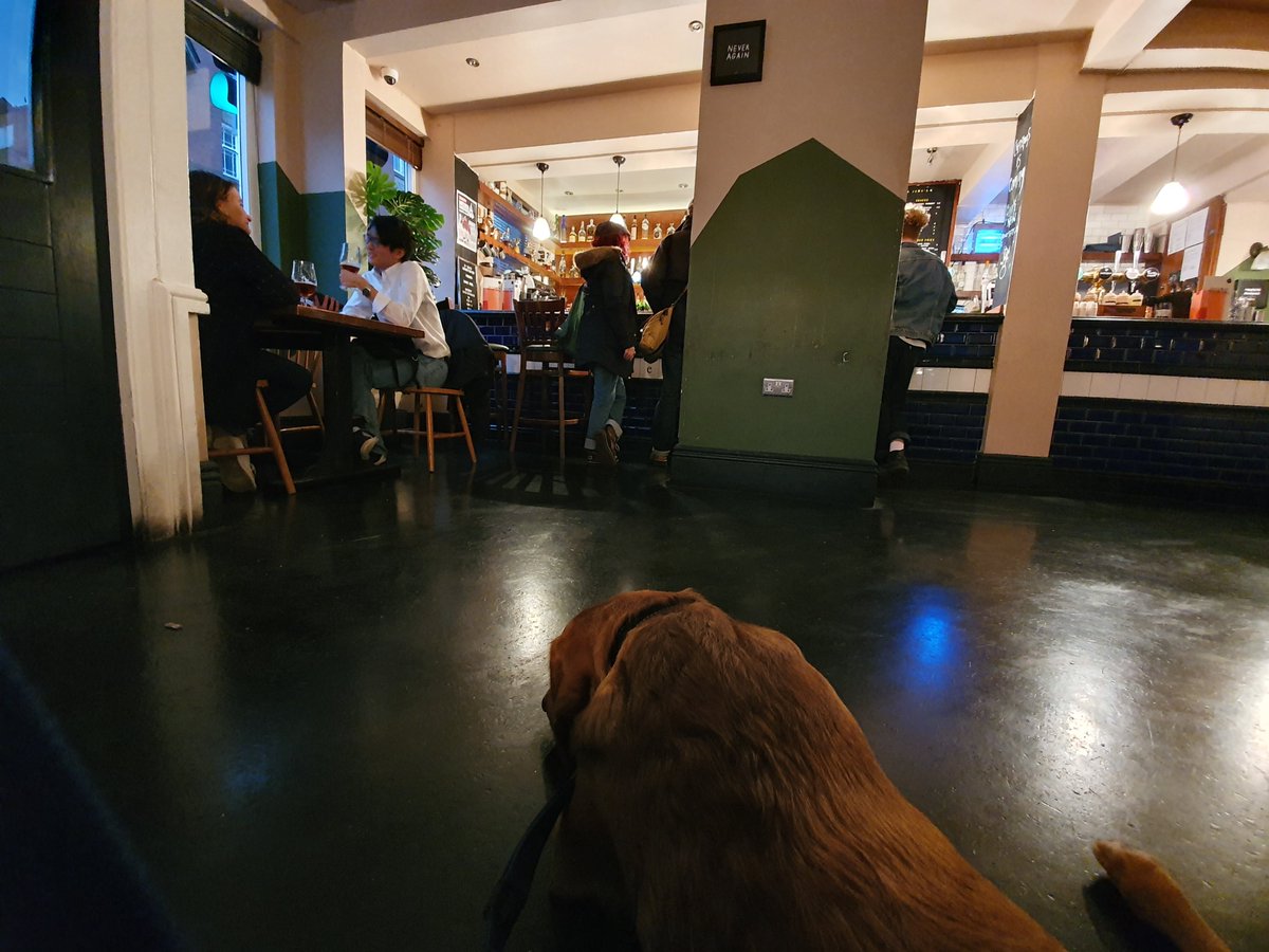 DogsOfSheffield's tweet photo. NEW ON THE BLOG: How to approach a dog that you don't know
If you've spotted a dog in your local pub or cafe and you want to give them a stroke, here are some simple steps for your approach so that you don't worry them.
https://t.co/xZCjfWugMf #sheffieldblogger #sheffield https://t.co/eGmHC5wYAH