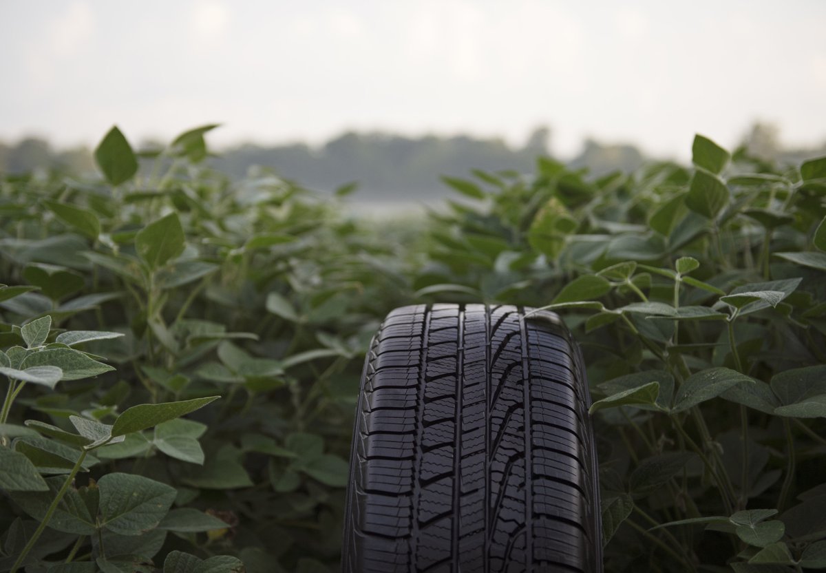 The bright minds over at <a href="/Goodyear/">Goodyear</a> are doing their part to save our planet! 🌎 Read about out the new soybean-based rubber compound their scientists and engineers are using to create a more #ecofriendly tire. 🌱 corporate.goodyear.com/en-US/responsi…