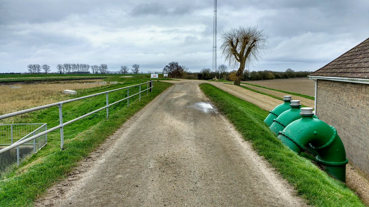 Beth Foot Forward tweet media