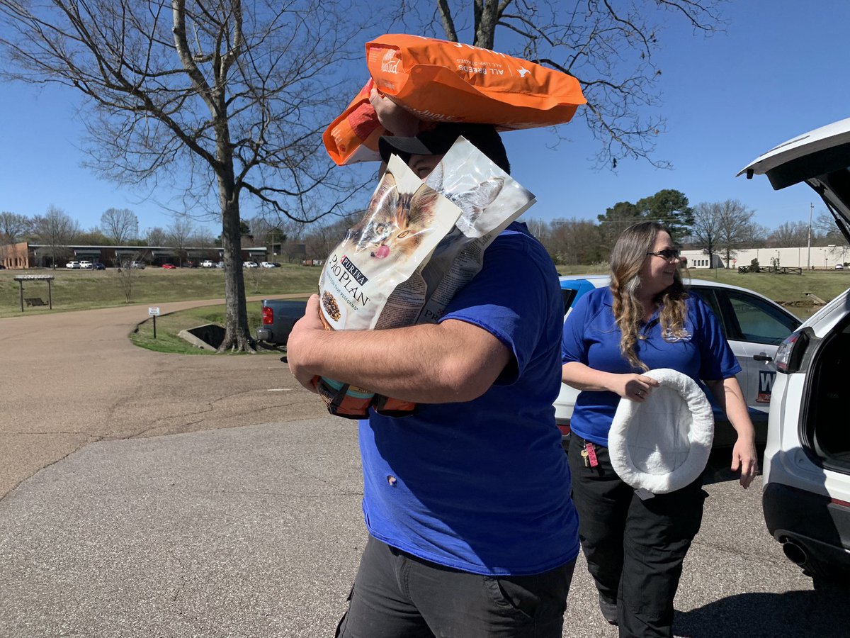 AHerreraReports's tweet image. STEPPING UP: @ColliervilleAS is collecting donations to help rescue shelters in the Nashville area that have been impacted by tornadoes @WMCActionNews5