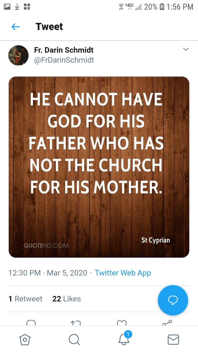 In speaking with the Sioux Falls chancellor, I tried to explain the extraordinary insensitivity of Father Schmidt on this matter. Father Schmidt has not apologized for his now-deleted tweet. Instead, he has been tweeting proof texts in his own defense. ...