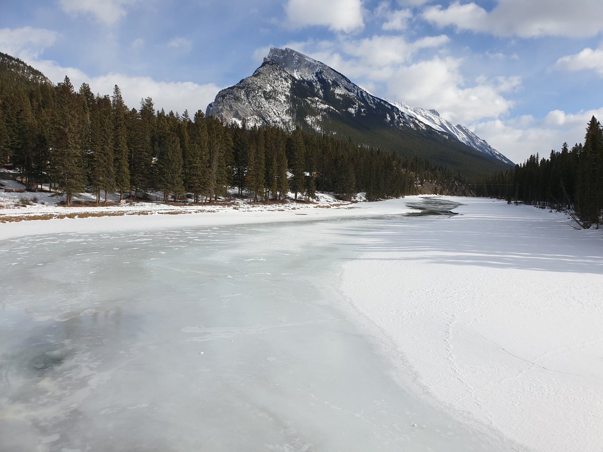 McEnteeCraig's tweet photo. Amazing week in Banff @KeystoneSymp on T cell memory. Incredible setting to listen to some great science. Plenty of fun had too! @TravislabUoM #KSCellMemory https://t.co/EilE1afcPW