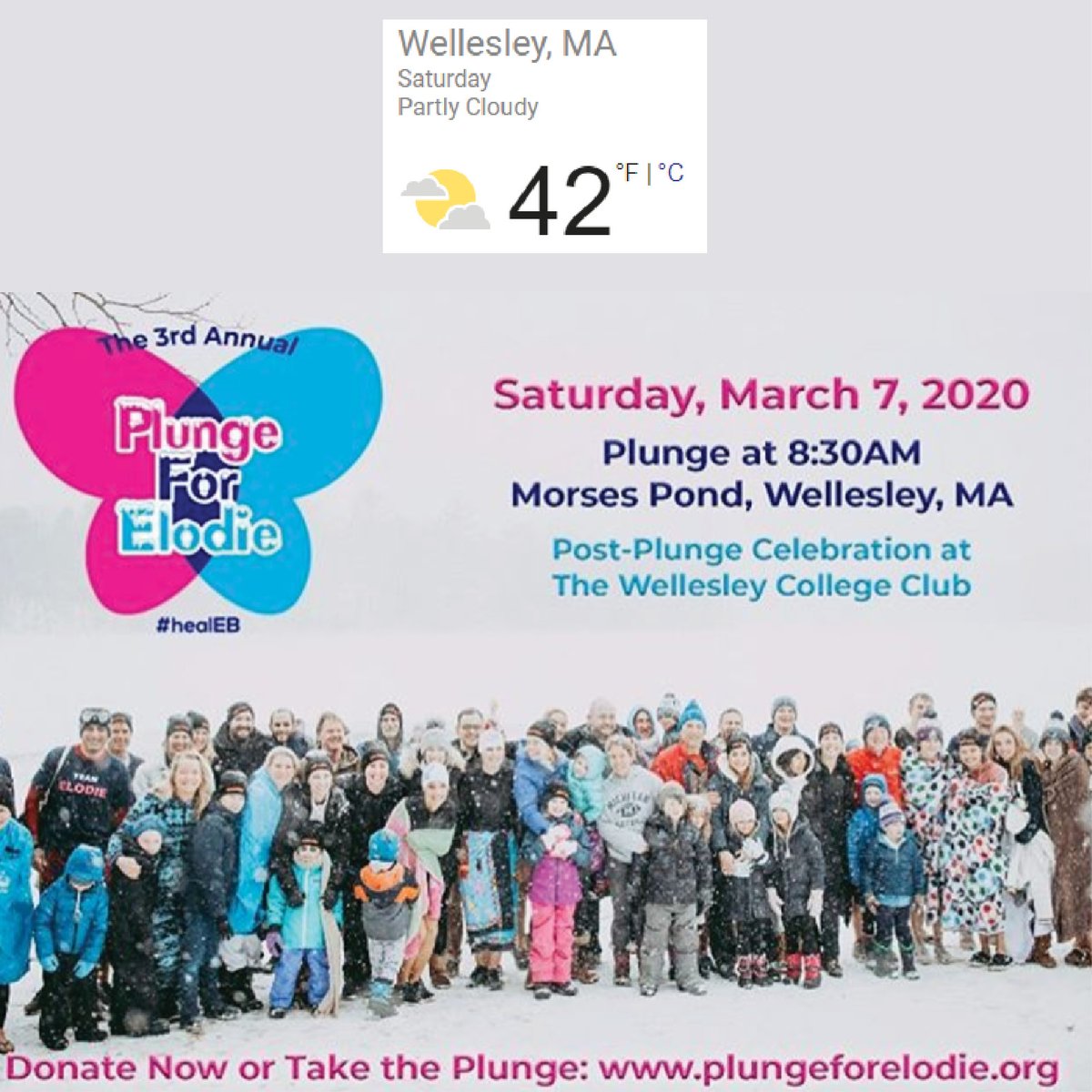 Pretty good weather forecast for this great fundraiser - Go ahead and 'take the plunge!' #plungeforelodie #morsespond #wonderfulwellesley