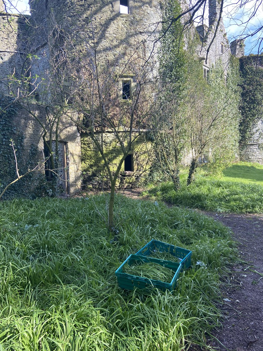 A day well spent foraging <a href="/Killenuredexter/">KillenureDexterBeef</a> in Dublin restaurants the weekend <a href="/Aimsir_Rest/">A I M S I R</a> <a href="/SpitalfieldsDub/">spitalfields_dub</a> <a href="/gnevillechef/">Graham Neville</a> <a href="/Thebankbar/">The Bank Bar Dublin</a> @57theheadline <a href="/defaoite88/">John White</a> <a href="/GloversAlley/">Glovers Alley</a> <a href="/GrainTiller/">Tiller+Grain</a> <a href="/allthefood_/">All The Food</a> <a href="/cpodowd/">cpodowd</a>