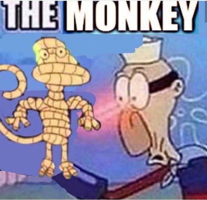 BusterYour's tweet photo. #Meme #Funny #Monkey #Coronvirus #KatyPerry #CoronaAlert #CoronaVirusSA #تمديد_العطلة https://t.co/xbMFnhj9GU