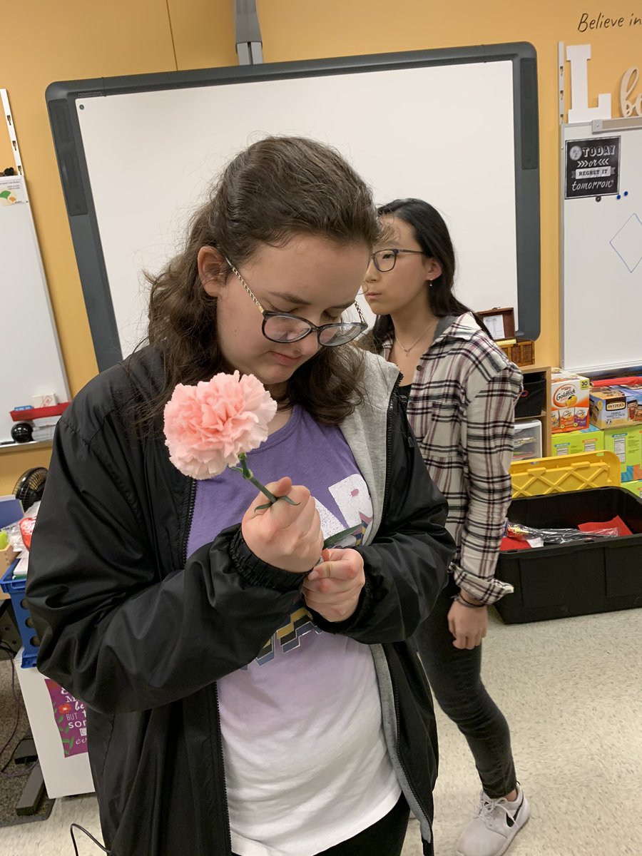 LancerKeyClub's tweet image. After school meeting today making flowers for the female staff for International Women’s Day. Thanks to all who attended!