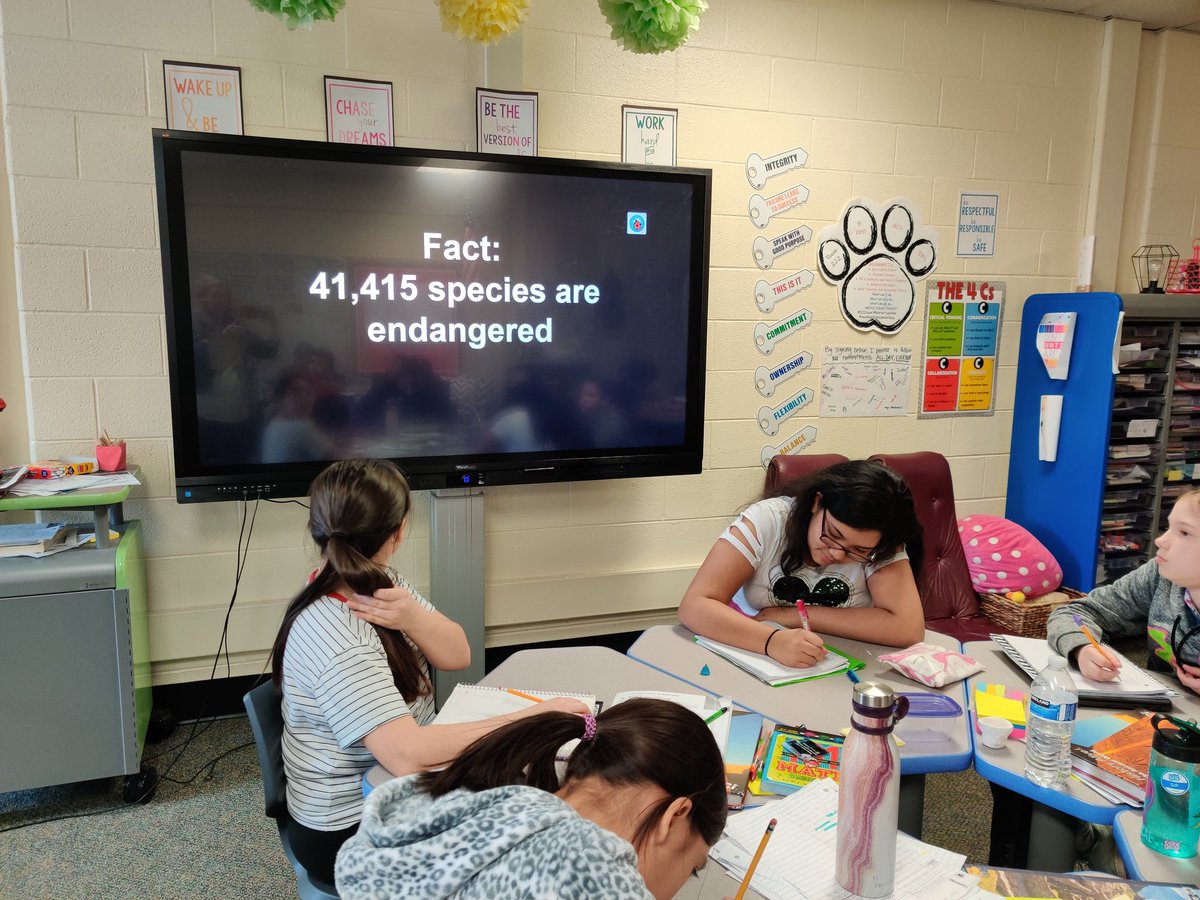 StephCahoj_D54's tweet photo. Ss participated in the #SOSstrategy of "Can You Guess My 2-1-4" to kickoff our Science  #PBL unit created by @D54schools. The goal:  guess the topic of our next unit from 2 facts, 1 clue, 4 visuals. The outcome: they got VERY close! #4Cs #Innovate54 https://t.co/oysXsUSsty
