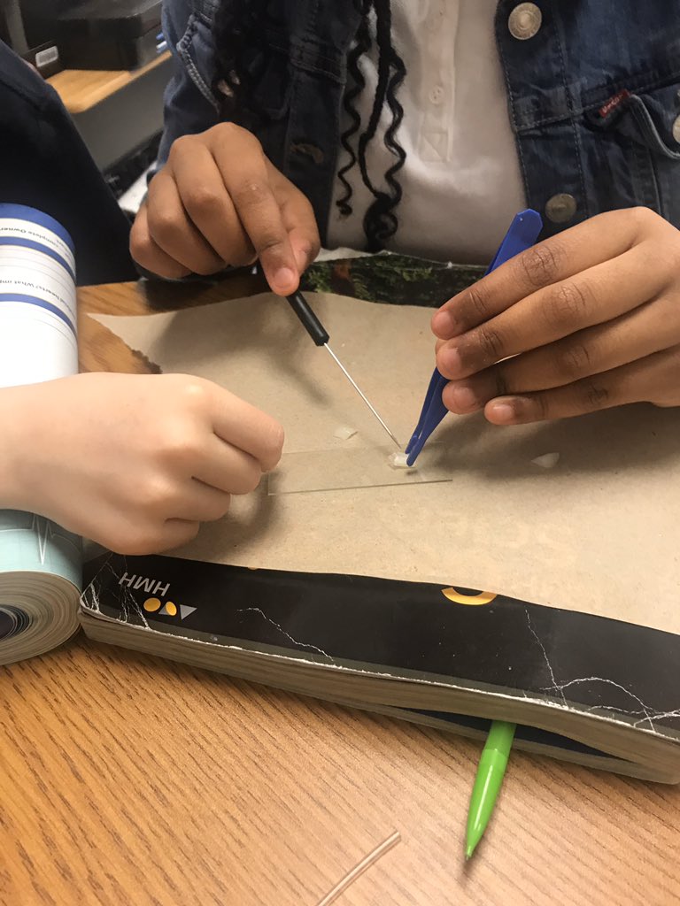 NajulaT's tweet photo. Peyton Forest ES 🐯explore the world of cells! @DonorsChoose strikes again! This lesson would have been impossible without the generous donation of microscopes. #scienceISaVERB @peytonprincipal @PeytonForestES #believe https://t.co/RX8mKLFYW5