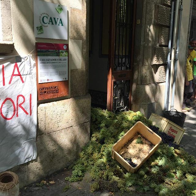 JVP-Joves Viticultors tweet media