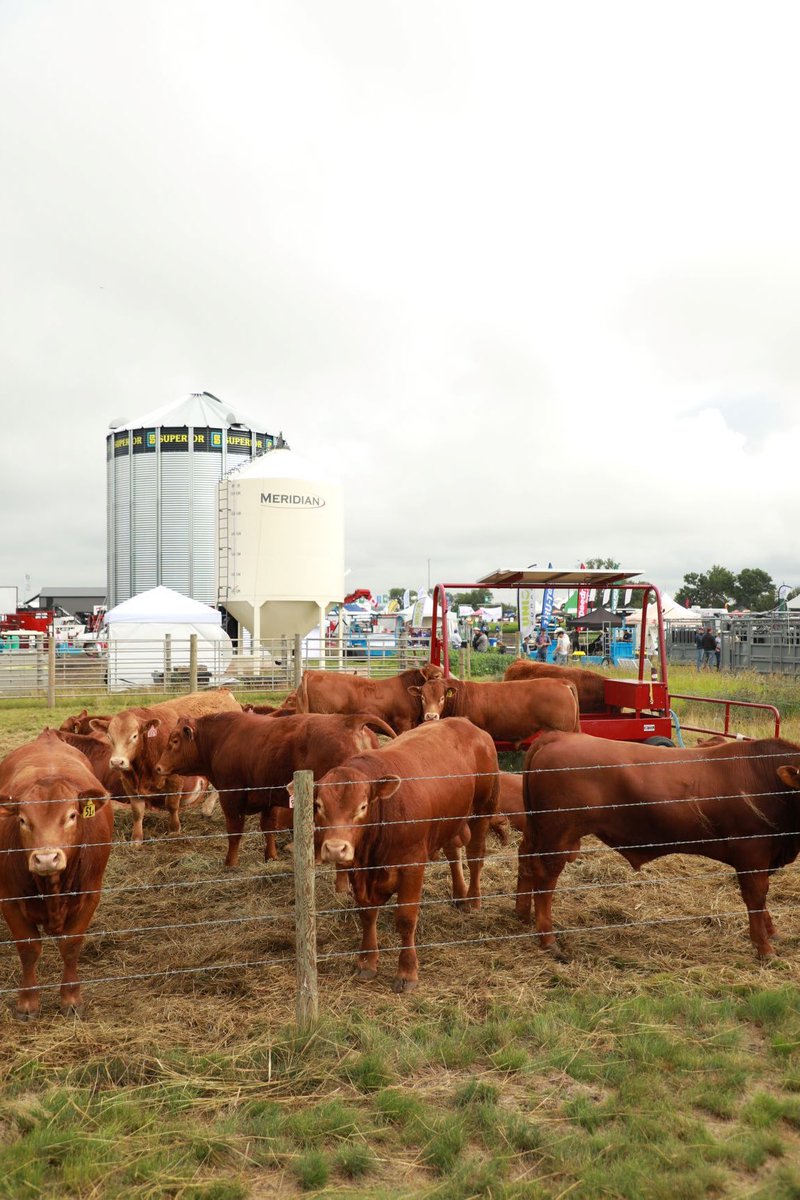 AginMotion's tweet photo. #TBT TO #AIM19 π
Weβre huge fans of Livestock Central π last year we had some awesome features like the Beef Breeds Showcase, TMR demos and cattle handling demos. We canβt wait to see whatβs in store for Livestock Central at #AIM20.
See for yourself July 21-23, 2020! https://t.co/Xxz2FxaQBH