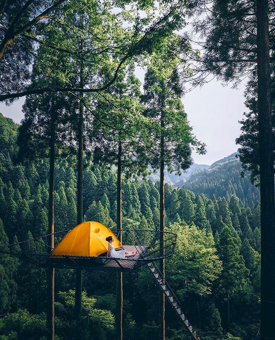 CapmingI's tweet image. "I am most alive among tall trees." 🌲
.
What are your thoughts 💭 ?! .
Tag someone who would love this place 😍
.
Photo by 📸 @hirokingraphy 👏👏 #ErdoğanınYanındayız
#ateşkes #ThankYouElizabeth #camping #campinglife #campingwithdogs #campingtrip