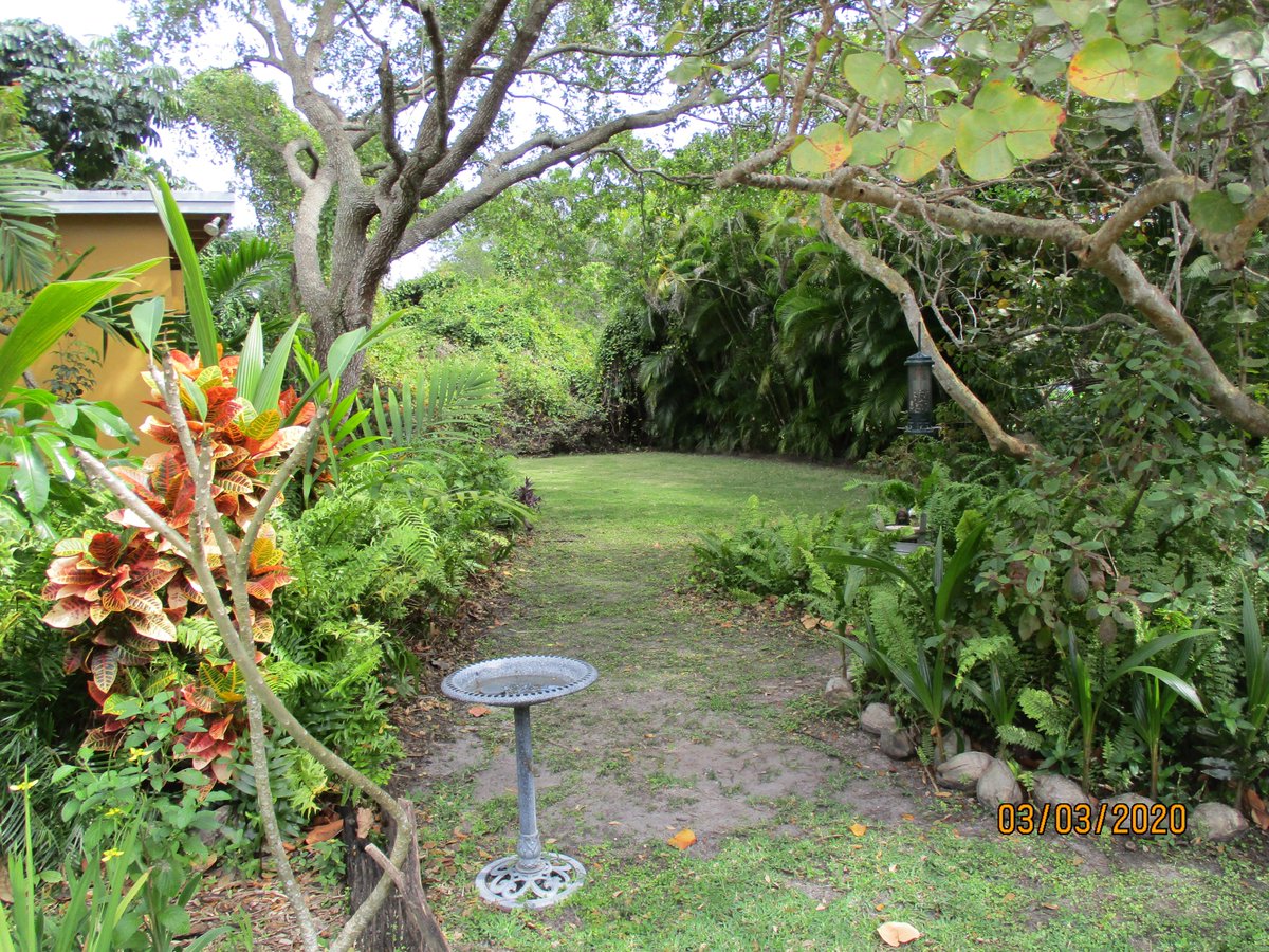 SouthDadeRealty's tweet photo. ON BUILDERS ACRE IN PINECREST
9051 SW 69 COURT
3 bedrooms, 2 baths + guest house | beautiful property covered with trees and tropical plantings | swimming pool | near Trader Joe's, Metrorail, Dadeland, Publix | location, location, location | $1,200,000
https://t.co/RE57xPeKeQ https://t.co/XtH0bShvy1