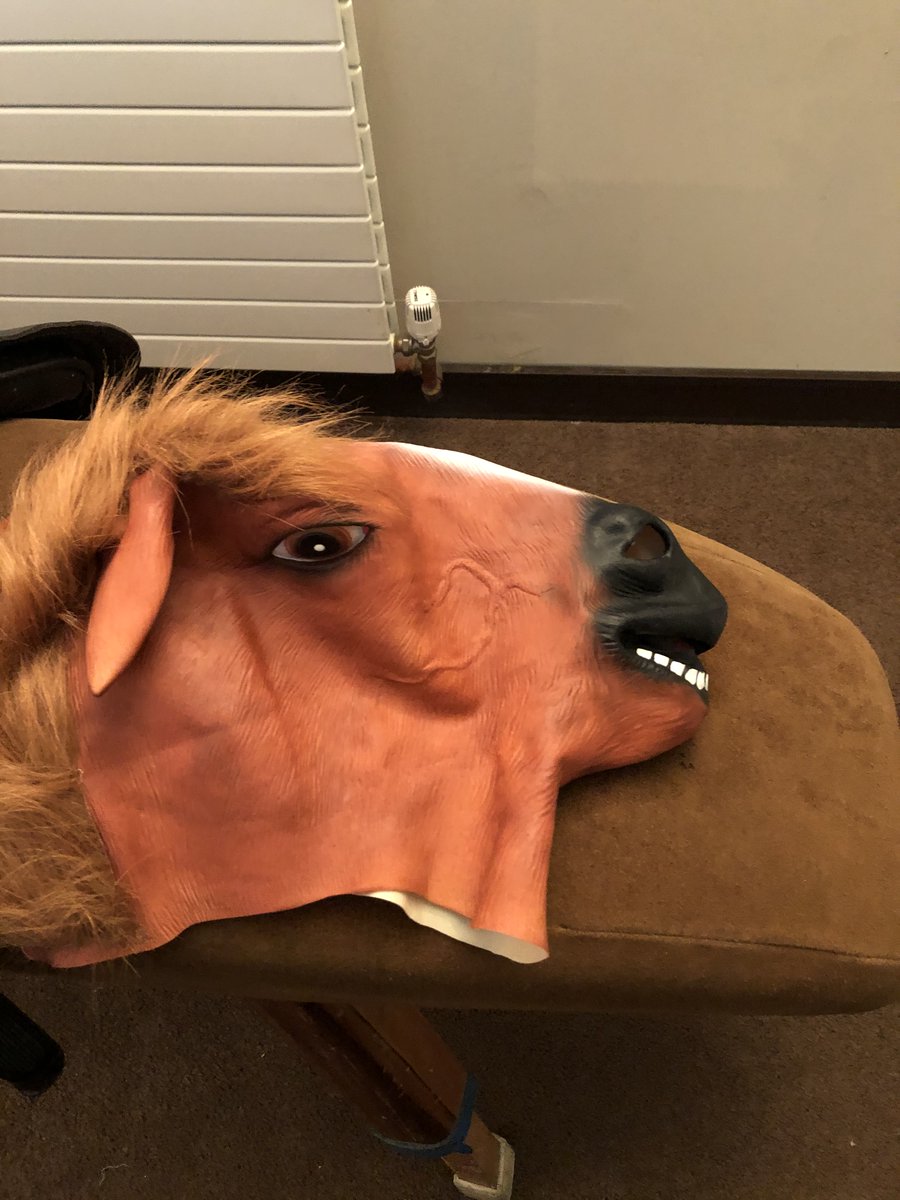 Sala_Sios's tweet photo. Unfortunately I can't bring a real horse to display my product....so I'm going to make a full size horse instead, using a pommel horse, a neck made from recycled styrofoam, a horse mask along with my own gear! @KerrySEP @StudentEntProg @PresCisland #KerrySEA #studententerprise https://t.co/o3iU8FaLug