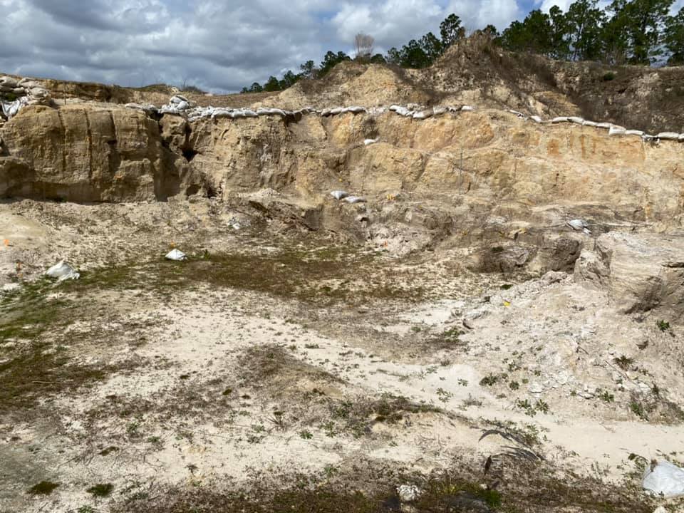 FloridaMuseum's tweet photo. This looks like any other giant hole in Florida, but it's full of cool stuff. You just have to dig for it!
βοΈπ
The Spring 2020 #fossil dig schedule for Montbrook is open, and we've got some days open at Thomas Farm, too: https://t.co/9DGHmeW4Zf
#Gomphopalooza @BlochLab https://t.co/Sdu03v6Syq