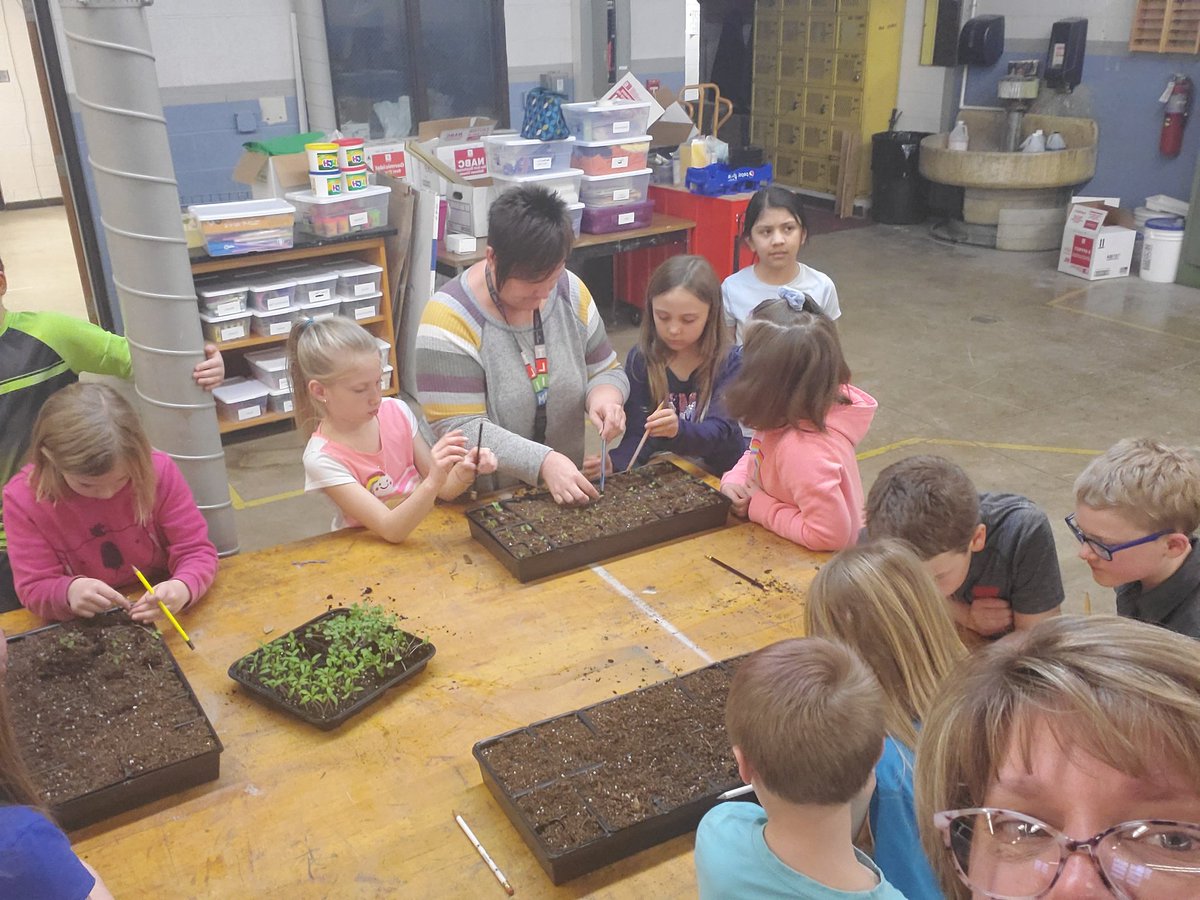 donylle's tweet photo. 232 brussel sprouts...that's the magic number in the Alden Elementary greenhouse! #AldenPride #IFACadetPride https://t.co/ZfVuoP2SsC