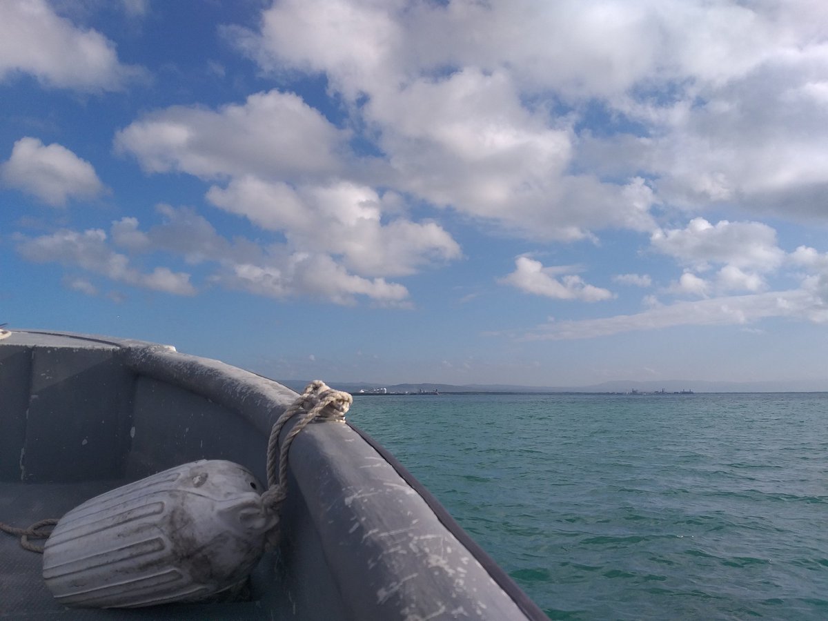 ESLCaribbean's tweet photo. #ESLAtWork Views from yesterday's fieldwork ...and a little wildlife surprise! Any guesses on where we were? #environmentalscientists #environmentalconsultants #environmentalsolutions #environmentalmanagement #wetlands #mangroves #crocodile #WildlifeinJamaica #resilientislands https://t.co/53agjNiJO8