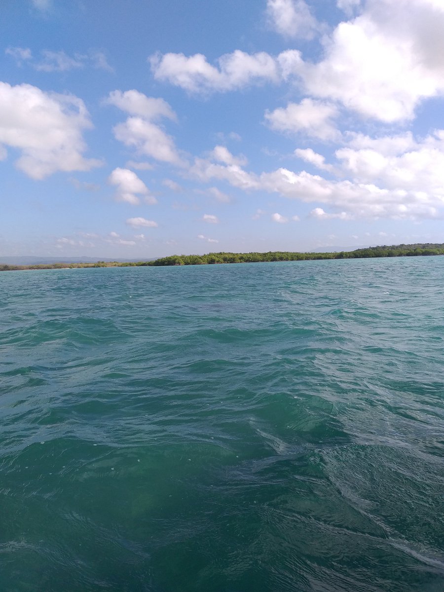 ESLCaribbean's tweet photo. #ESLAtWork Views from yesterday's fieldwork ...and a little wildlife surprise! Any guesses on where we were? #environmentalscientists #environmentalconsultants #environmentalsolutions #environmentalmanagement #wetlands #mangroves #crocodile #WildlifeinJamaica #resilientislands https://t.co/53agjNiJO8