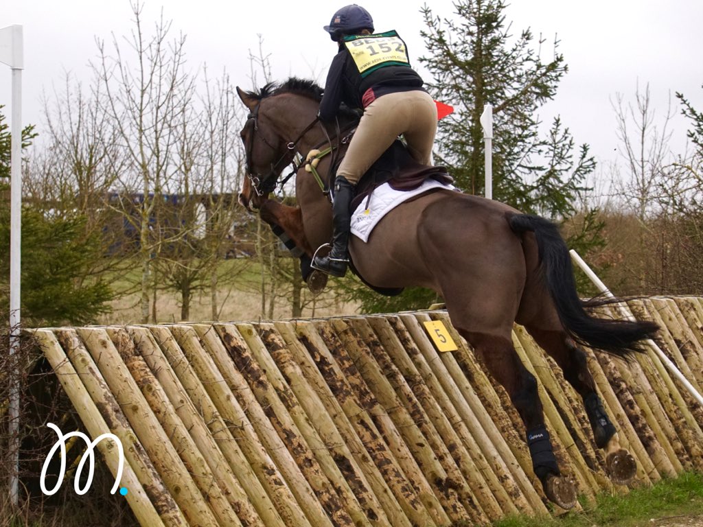 First event and first winner of the new <a href="/BEventing/">British Eventing</a> Season! Sportsfield Top Notch and <a href="/PiggyMarch/">Piggy March</a> won the Open Novice at <a href="/bedeevents/">Bede Events</a> Oasby.🏆🥇🤩

We are looking forward to another exciting year with the reigning 7yo National Champion in 2020.🔝💪🤞
