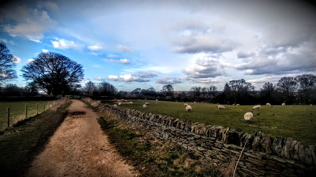 tismenic70's tweet photo. #photosofmylife #countrypaths
#Daffodils #gates #benches https://t.co/AdOS71d9SW