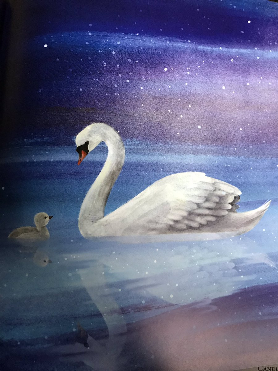 SmritiPH's tweet photo. ๐ท#WBD2020 BOOK GIVEAWAY! ๐ณ
To celebrate publication, Iโm giving away a copy of #WelcomeToYourWorld - a celebration of life, love & our precious world.
FOLLOW & RT by 8pm, 12th March for a chance to win.
UK only. Winner picked at random. Good luck!! #Giveaway #Competition https://t.co/N2X2v2Sak8