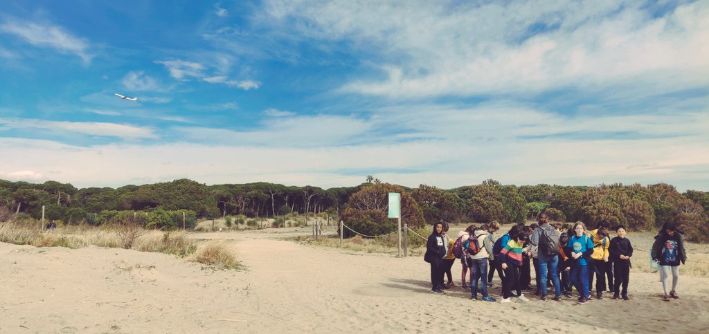 escolabogatell's tweet photo. 5è. Avui hem anat al Remolar de les Filipines a  veure els aiguamolls, per aprendre més sobre la migració de les aus i sobre a geografia de la desembocadura d'un riu, el Llobregat. https://t.co/QNJ1TQUOZp