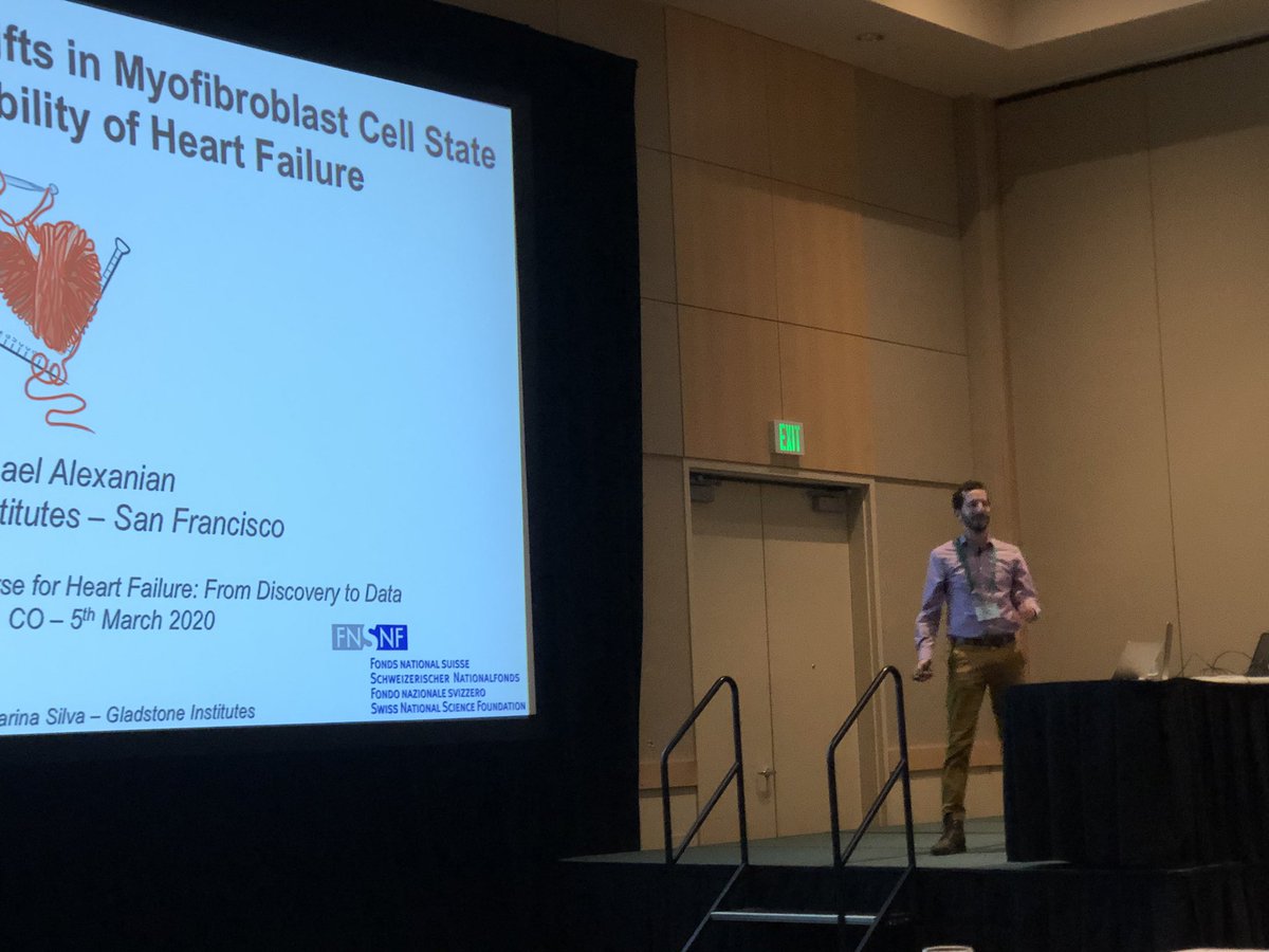 benoitbruneau's tweet image. @m_alexanian up now at #KSheartfail presenting how awesome work on fibroblast gene regulation in heart failure @GladPostdocs @GladstoneInst