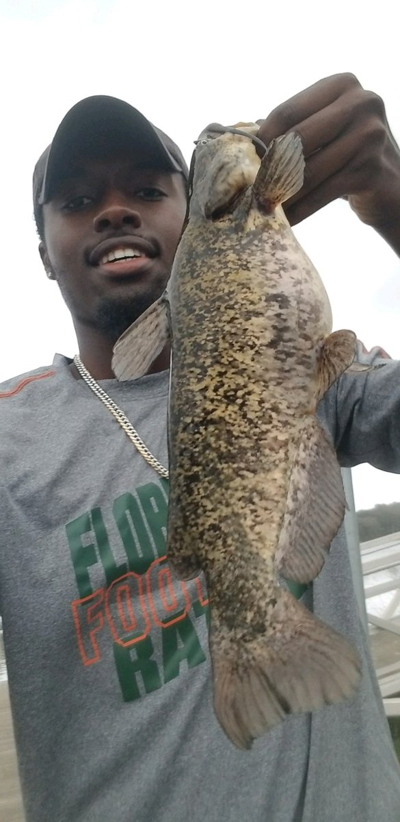 FamuFishing's tweet photo. We also had another 1st this week, 1st Catfish caught at PineyZ for Ben Johnson. We love seeing our members experience new things!! Keep up the great work you guys!! 

 #basspro #trackerboats #FLW  #fishingleagueworldwide #FAMUfishing #Famualumni #HBCU  #freshwater  #catfish https://t.co/j82CfN9KOi