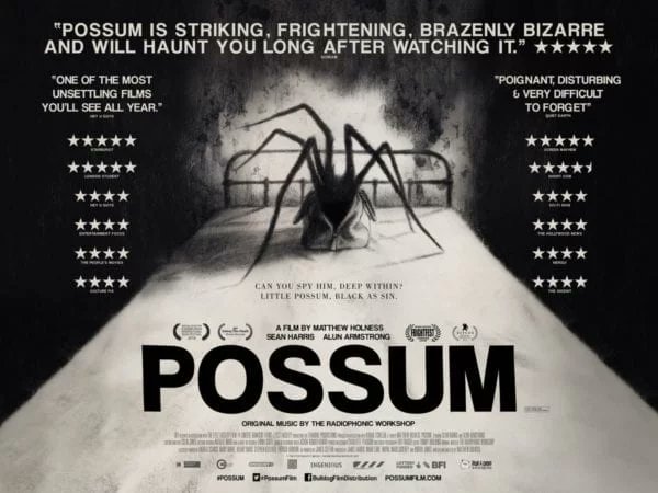 lukewarmnoodle's tweet photo. Some of the films I watched/rewatched this February. 🎥 ☺

#movies #horror #february #itfollows #ichithekiller #possum #abcsofdeath https://t.co/snlOSTnEHL