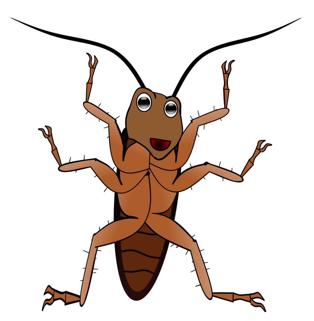 Water, Waiter! There's a Cockroach in my Rice! #Bangkok #Thailand #Food lifeinanewcountry.com/water-waiter-t…