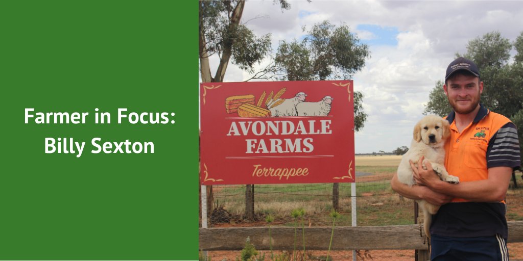 Check out the latest BCG Farmer in Focus. 

In this edition, Terrappee farmer Billy Sexton discusses transitioning from dairy farming to running a mixed cropping and livestock farm. 

Read more at: buff.ly/32NFTuO