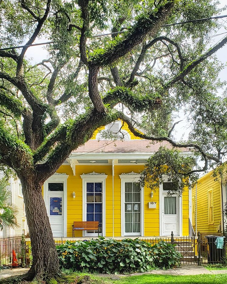 VisitNewOrleans's tweet photo. The Irish Channel is a true New Orleans gem.

This historic Uptown neighborhood has plenty of stories to tell and a charming scene around every corner.

Experience it all with our neighborhood guide—https://t.co/uhCznU67TP

Photo (via Instagram): mixterdm https://t.co/ZJpy1xEVMZ