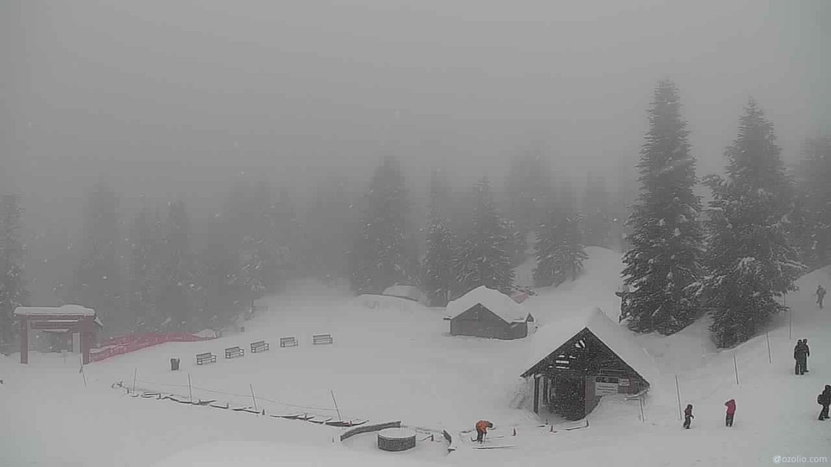 TyeeSkiClub's tweet photo. 3 cm of new snow in last 2 hours (at 1 pm) with more to come.  We'll take a snowy training night over a rainy one anytime. #LetItSnow @grousemountain https://t.co/nBmg2mm3AX