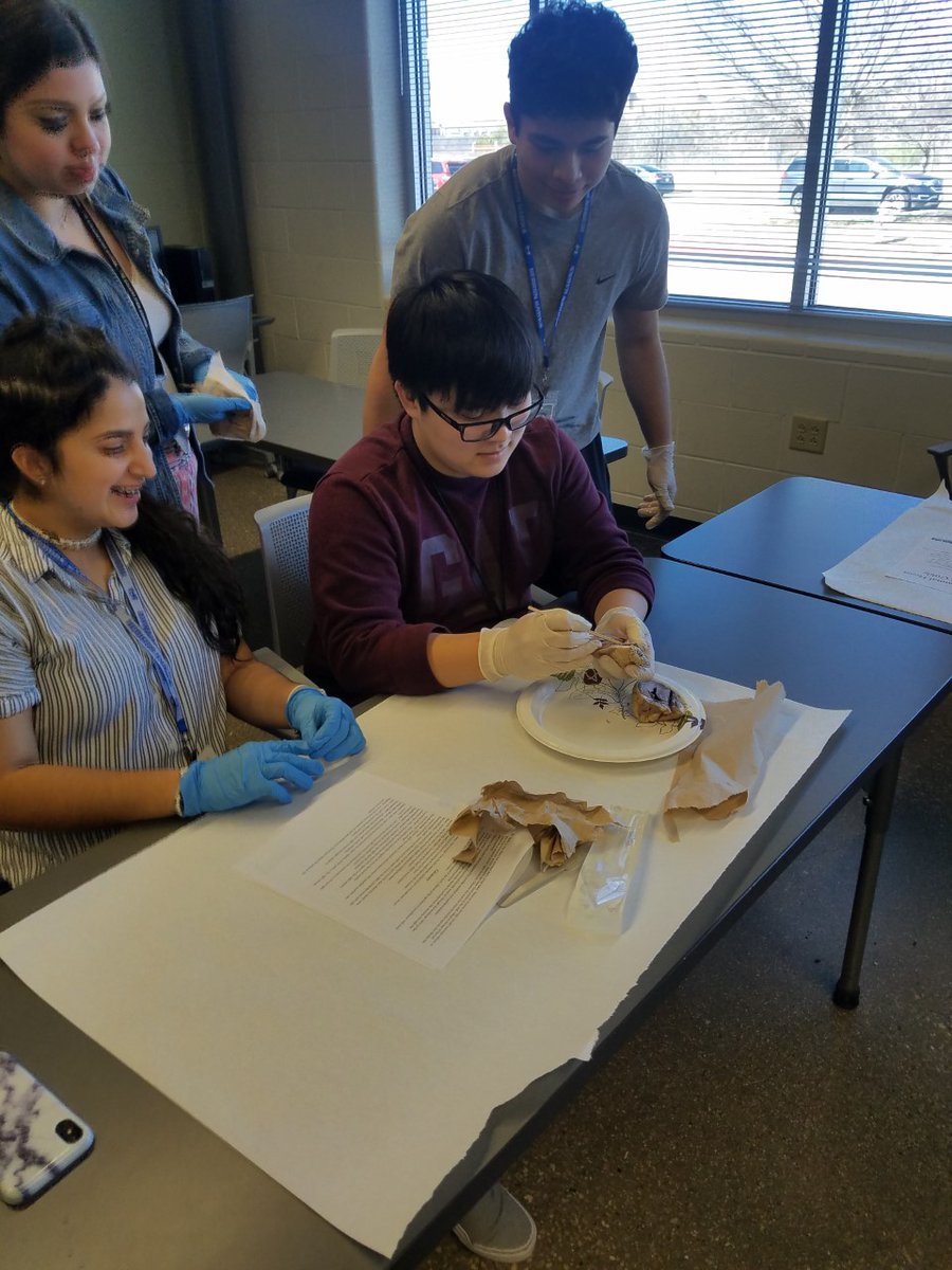 Taylor_HealthScience_TECC-E tweet media